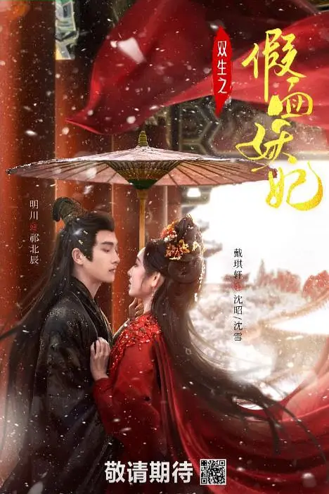 双生之假面妖妃 720P(大结局)