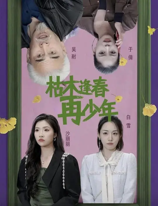 枯木逢春再少年 第39集