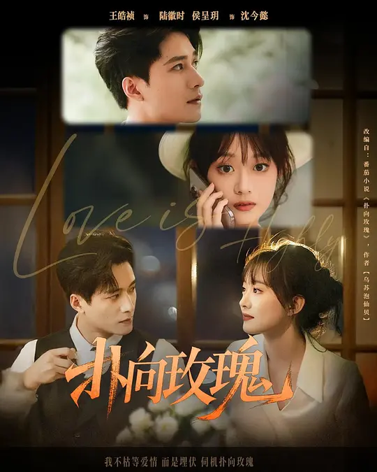 扑向玫瑰 720P(大结局)