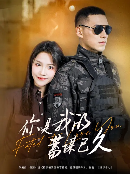 你是我的蓄谋已久 720P(大结局)