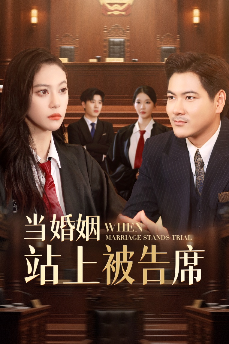 当婚姻站上被告席 第9集