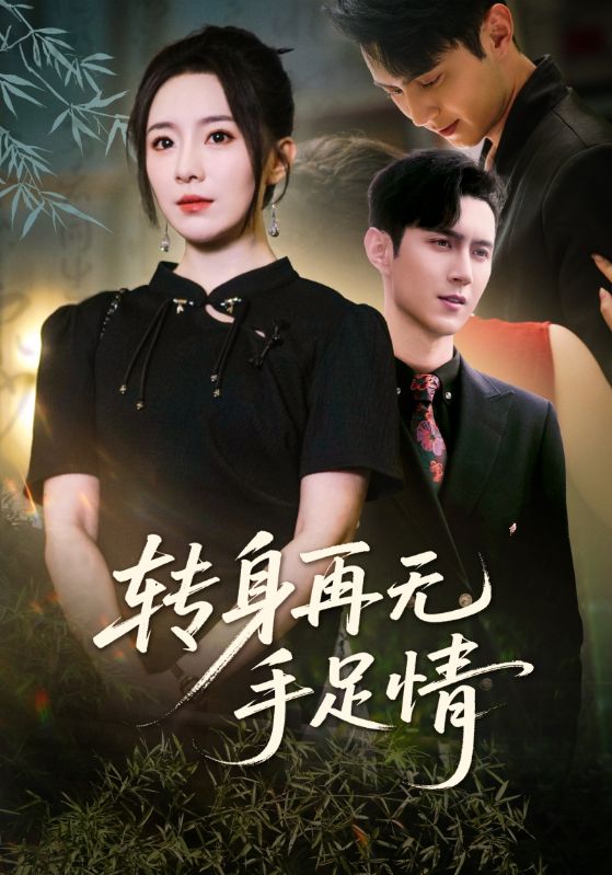 转身再无手足情 第37集