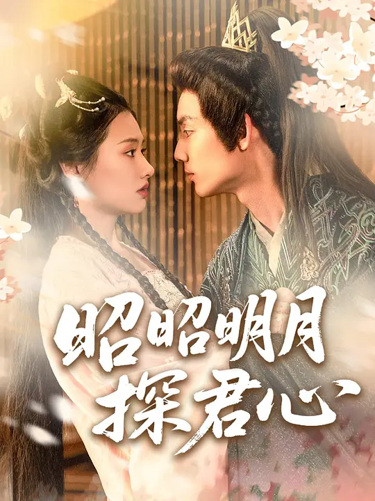 昭昭明月探君心 720P(大结局)