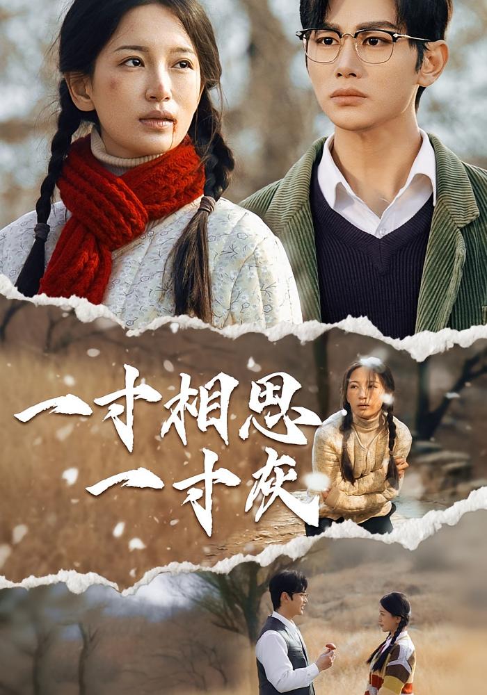 一寸相思一寸灰 720P