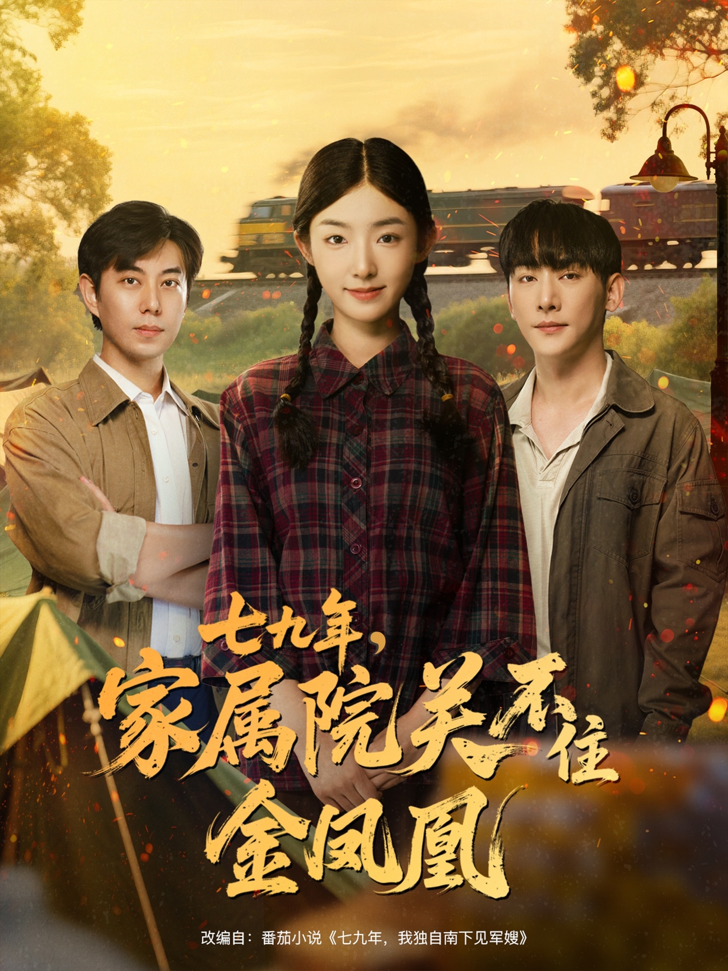 七九年家属院关不住金凤凰 720P