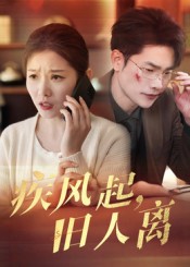 疾风起旧人离 第5集