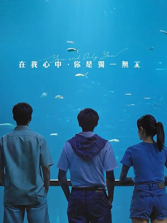 在我心中，你是独一无二 720P