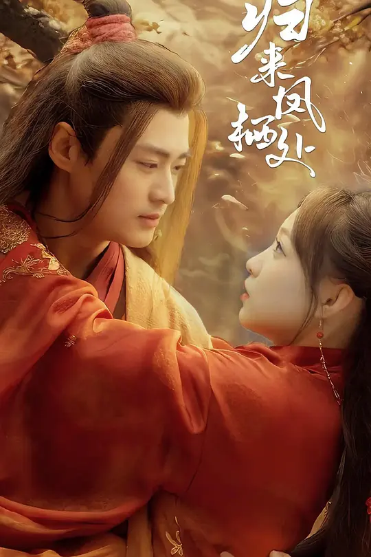 归来凤栖处 720P