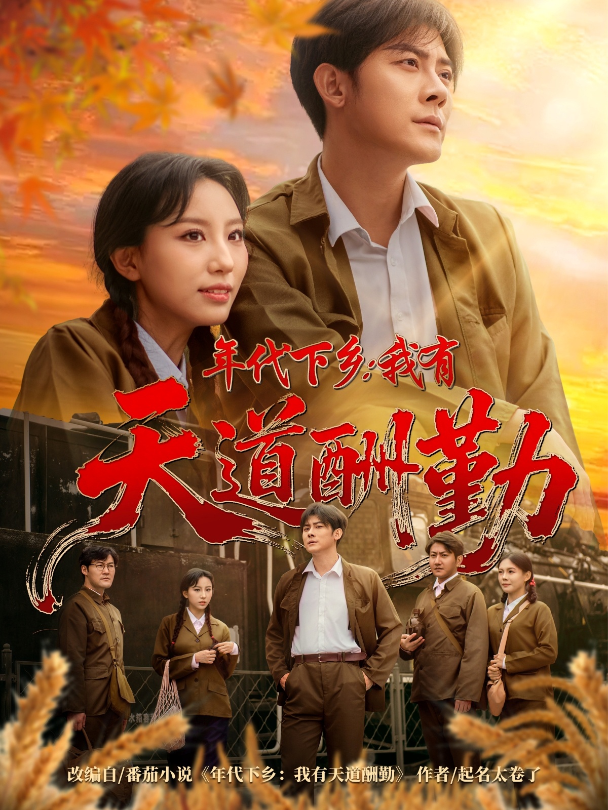 年代下乡我有天道酬勤 720P