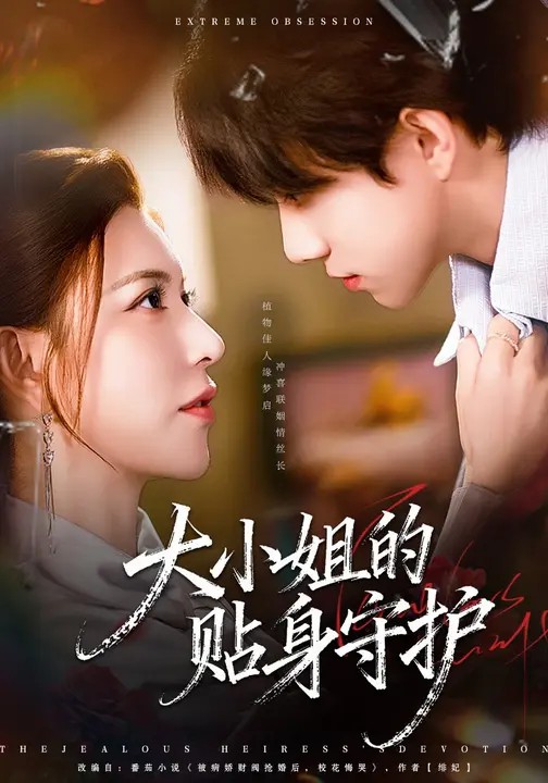 大小姐的贴身守护 720P