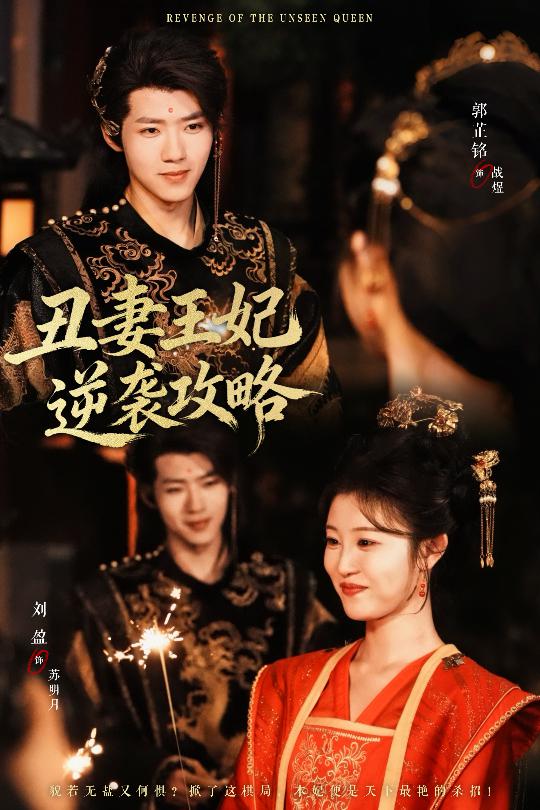 丑妻王妃逆袭攻略 720P