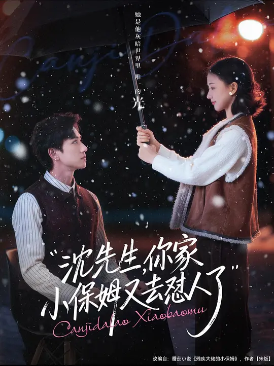 沈先生，你家小保姆又去怼人了 720P