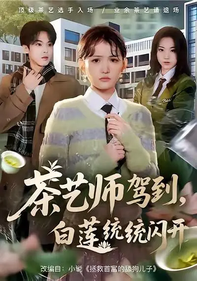 茶艺师驾到，白莲统统闪开 720P