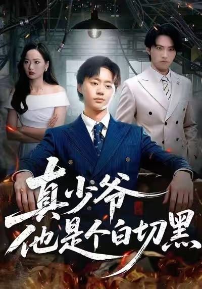 真少爷他是个白切黑 720P