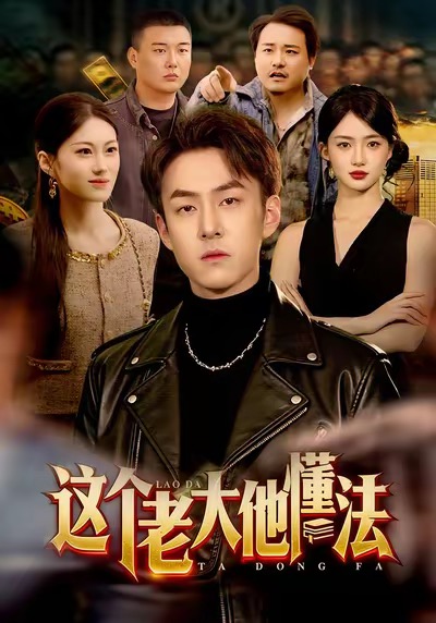 这个老大他懂法 720P