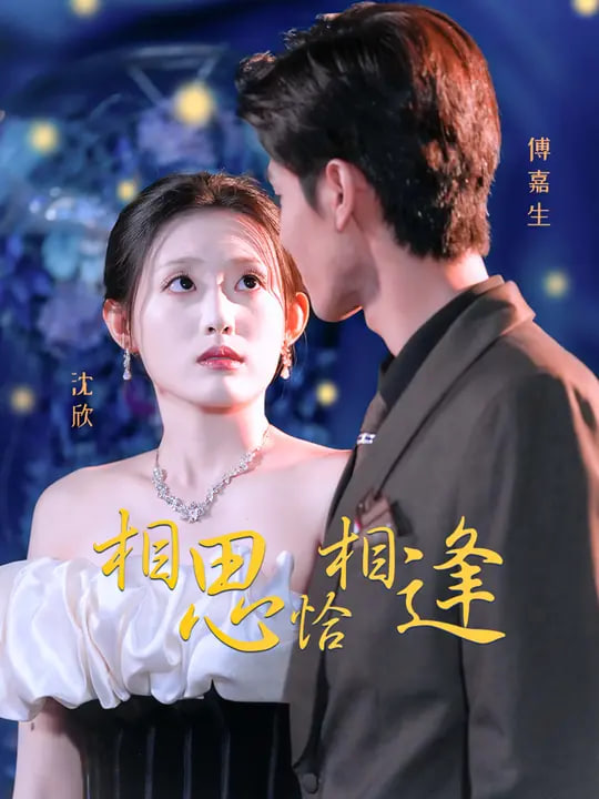 相思恰相逢(全集)
