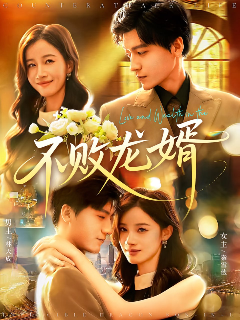 不败龙婿(全集)