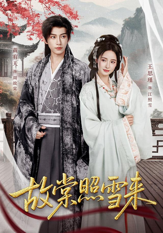 雪满东院(全集)