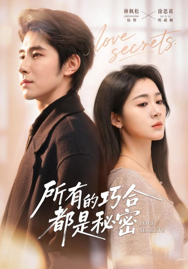 所有的巧合都是秘密（陆总夫人她只想离婚）(全集)