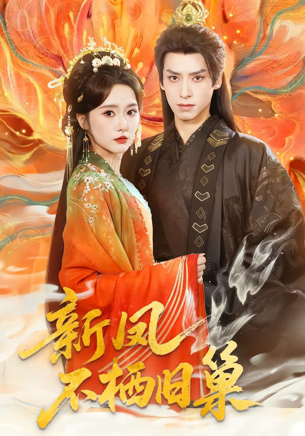 新凤不栖旧巢(全集)