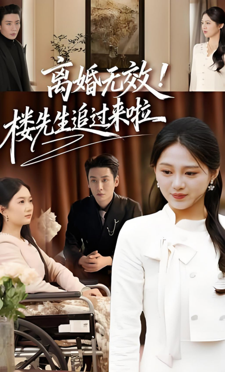 离婚无效！楼先生追过来啦(全集)