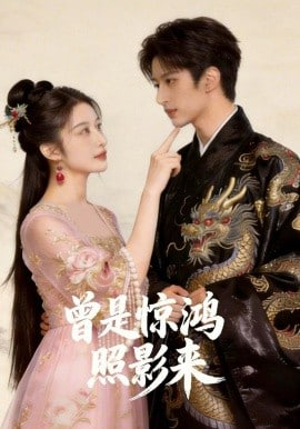 曾是惊鸿照影来(全集)