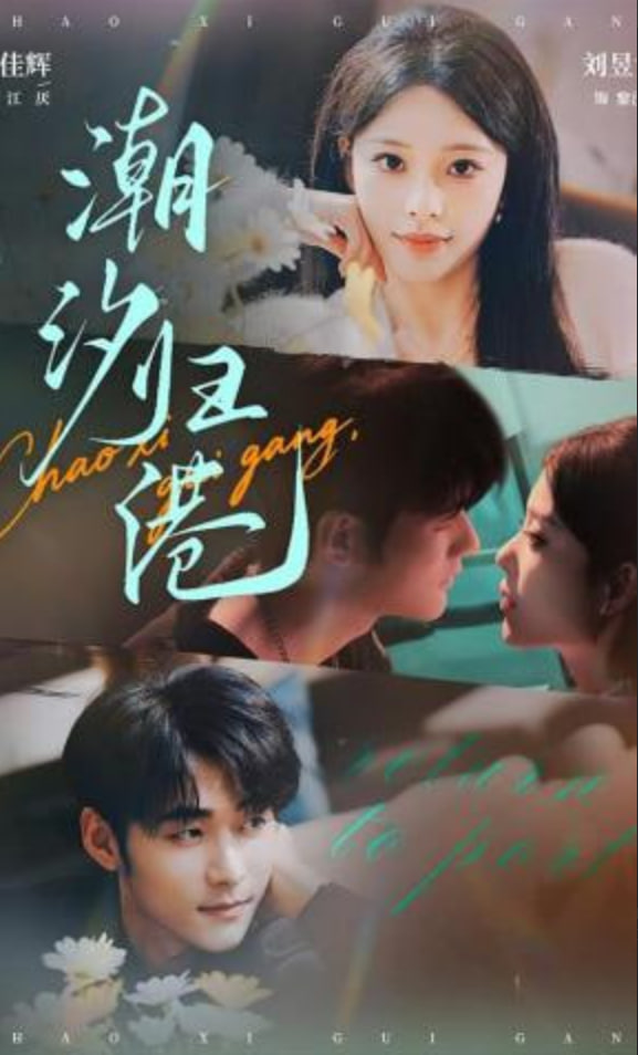 潮汐归港(全集)