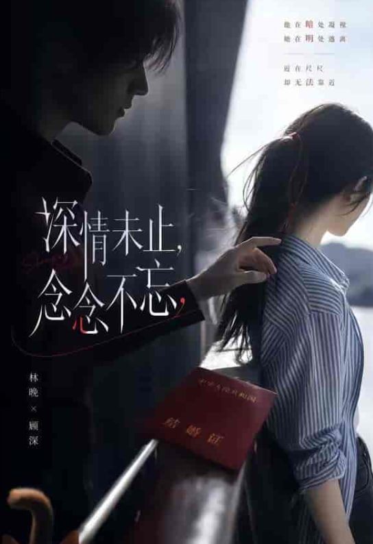 深情未止，念念不忘(全集)